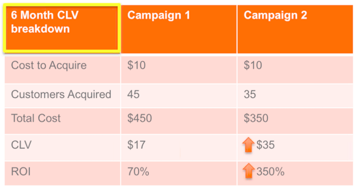 Chart comparing customer lifetime value by marketing campaign