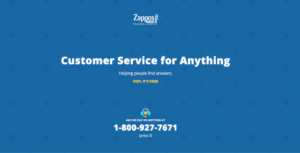 Photo of Zappos site announcing "Customer Service for Anything"