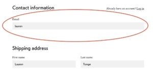 Image showing an incomplete email entry that retail site did not flag