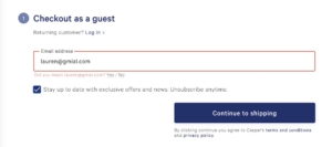 Screen show showing retail site prompts user to correct email typo