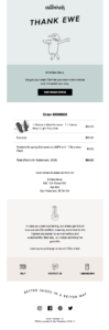 Allbirds Thank You Email