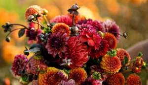 Dahlias in a bouquet