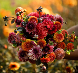 Bouquet of Dahlias
