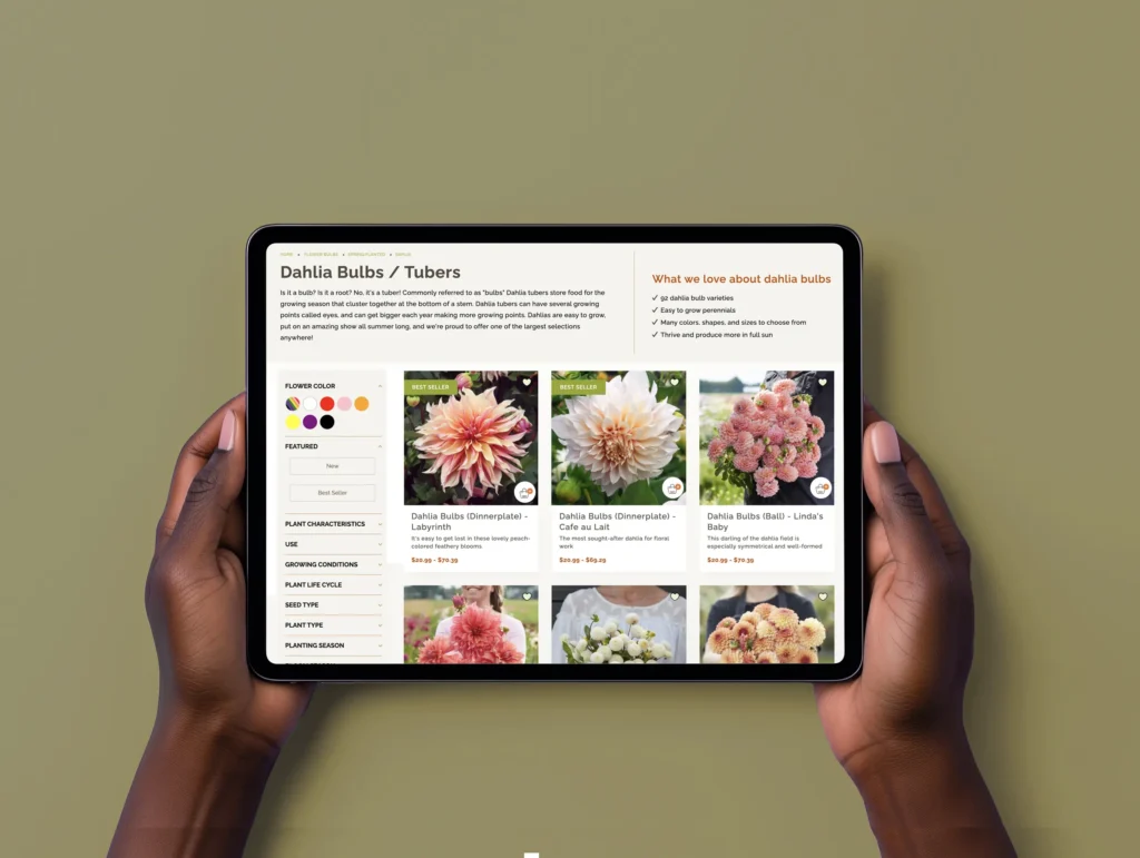 Hands holding a tablet displaying a product category page for Dahlia Bulbs and Tubers from Modern Seed Co., featuring product images, filters, and descriptions for different varieties of dahlia bulbs.