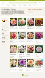 Product listing page for dahlia bulbs and tubers at Modern Seed Co., featuring various types of dahlia bulbs with images, prices, and brief descriptions. The page includes filtering options for color, plant characteristics, and growing conditions.